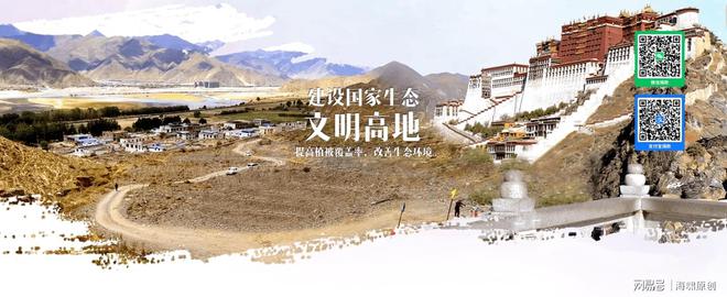 九游J9真人游戏第一品牌中国石化——我为雪域高原植新绿!(图1)